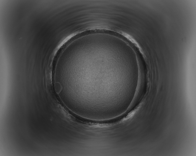 X0000086730877200704131104