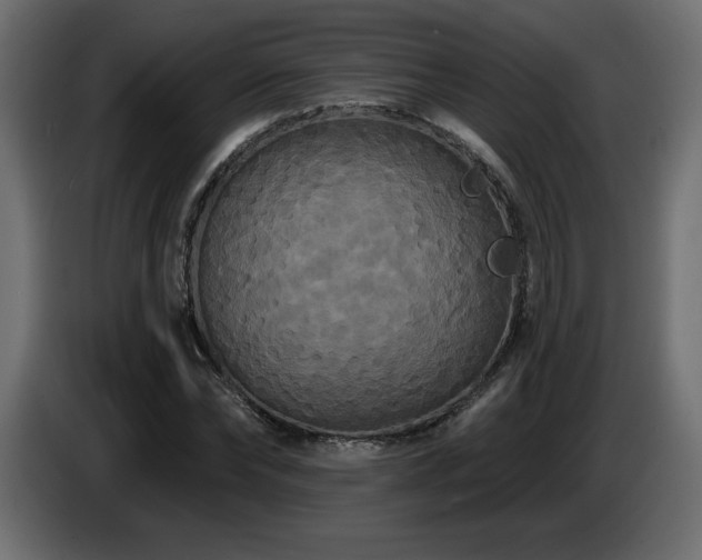 X0000086730878200704131104