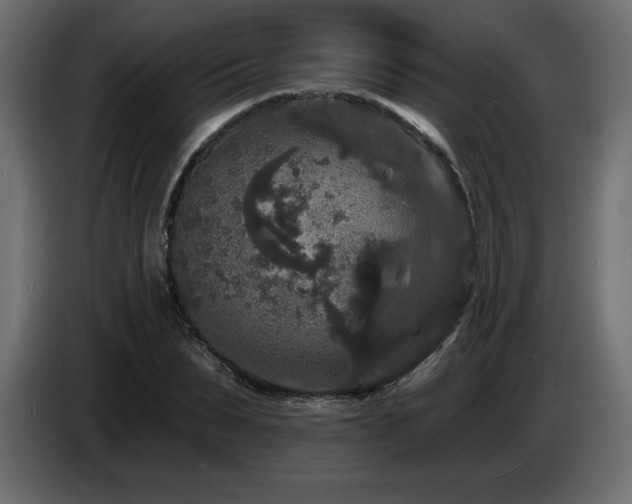 X0000086730879200704131104