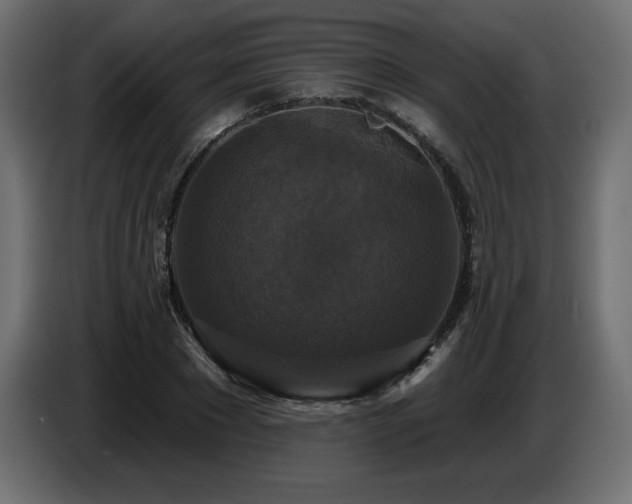 X0000086730881200704131104