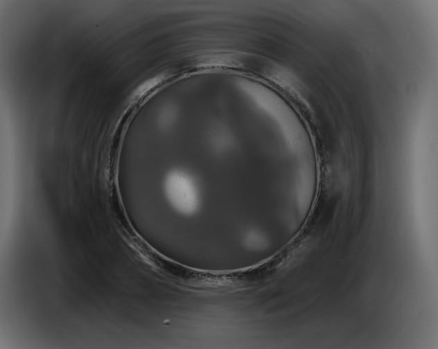 X0000086730882200704131104