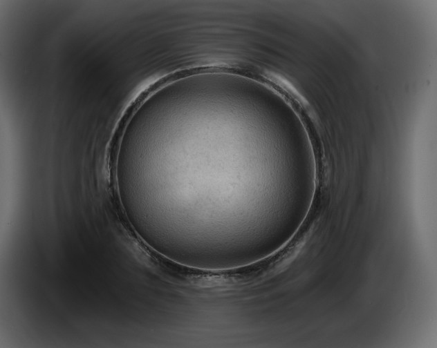 X0000086730883200704131104