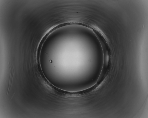 X0000086730884200704131104