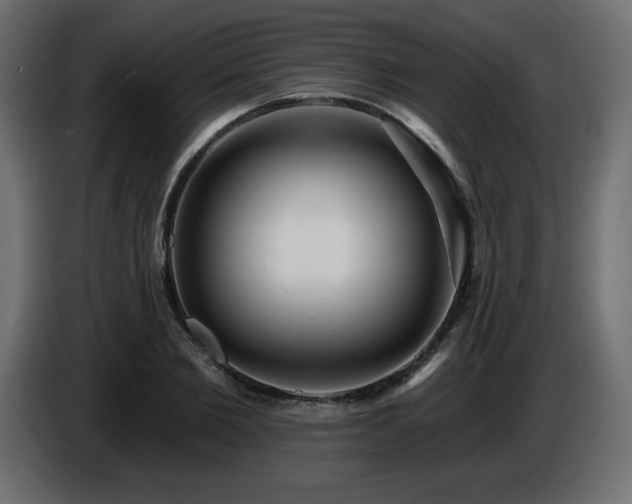 X0000086730885200704131104