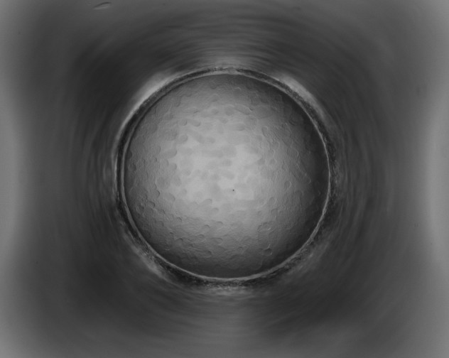 X0000086730886200704131104