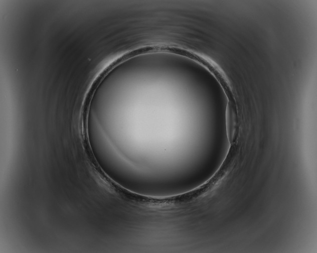 X0000086730887200704131104