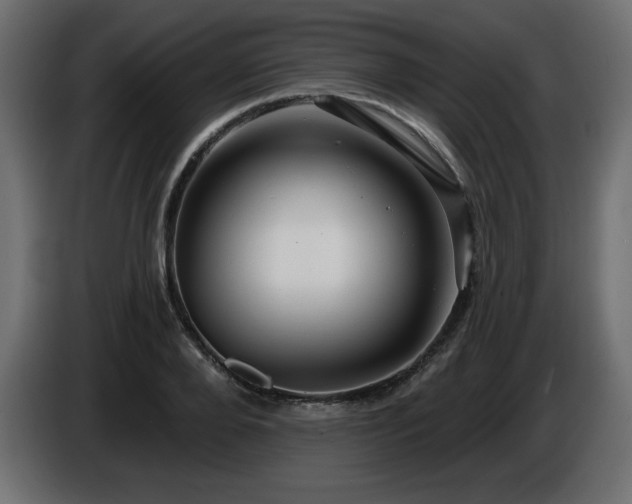 X0000086730888200704131104