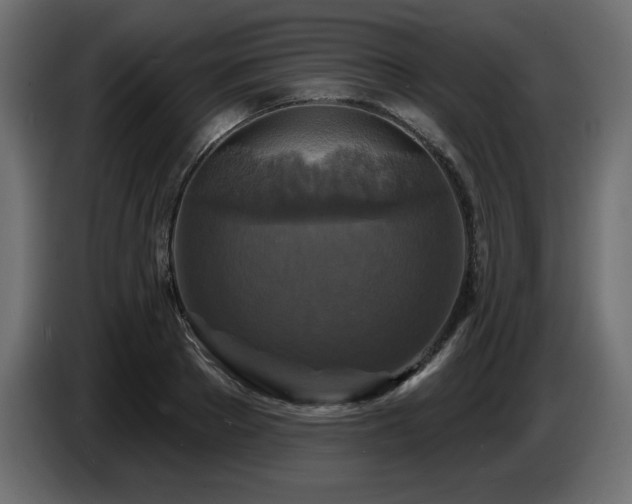 X0000086730889200704131104