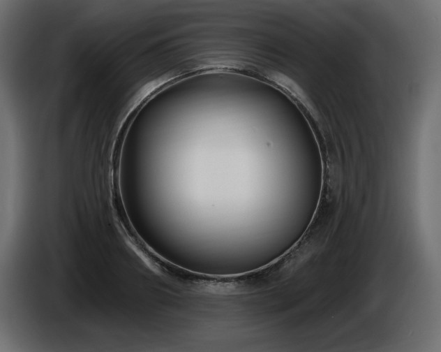 X0000086730890200704131104