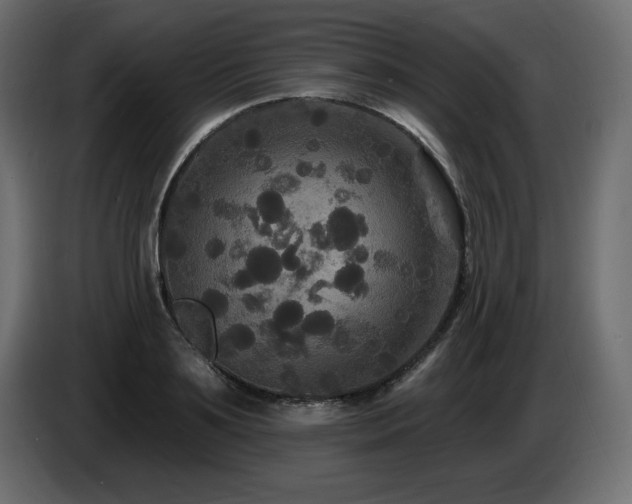 X0000086730891200704131104