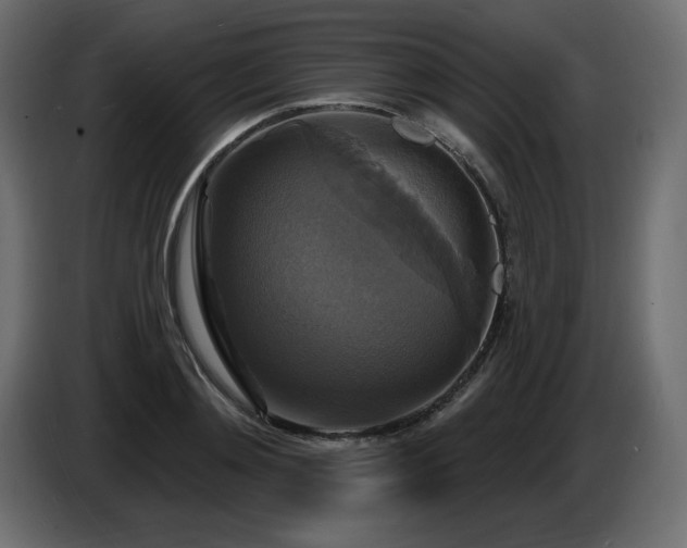 X0000086730892200704131104