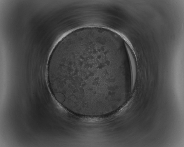 X0000086730895200704131104