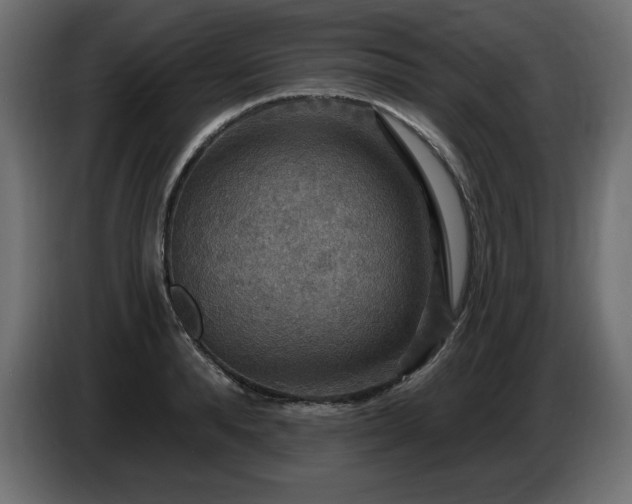 X0000086730896200704131104