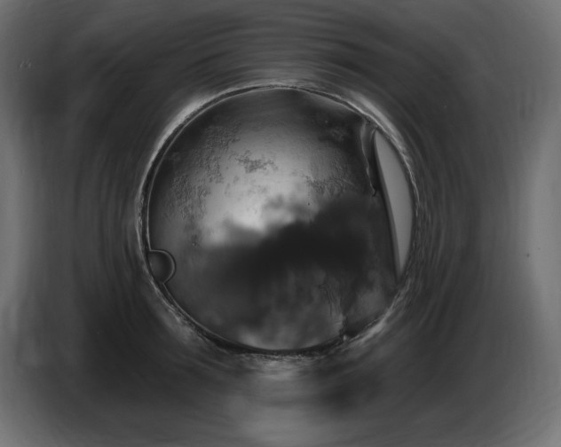 X0000086730899200704131104