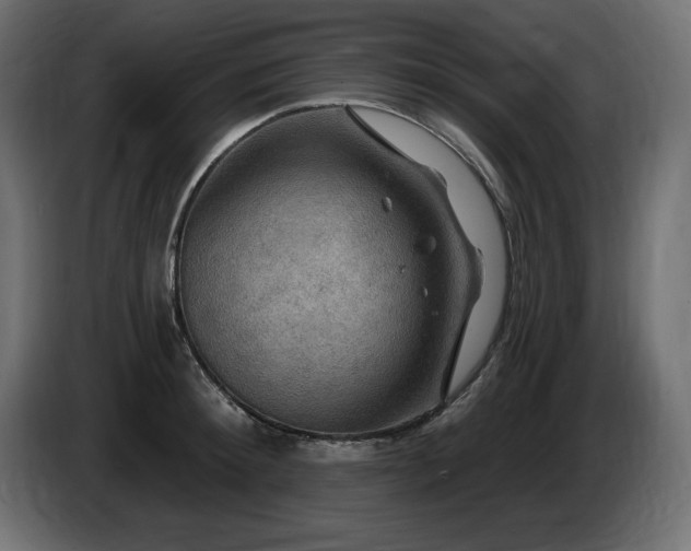 X0000086730900200704131104