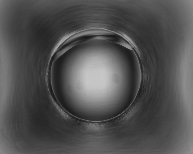 X0000086730901200704131104