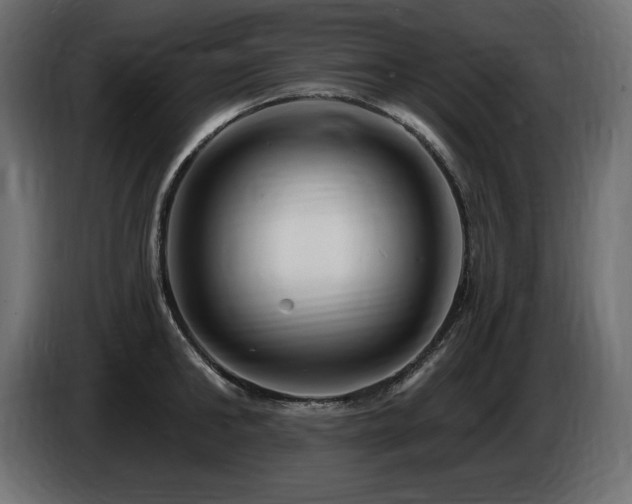 X0000086730902200704131104