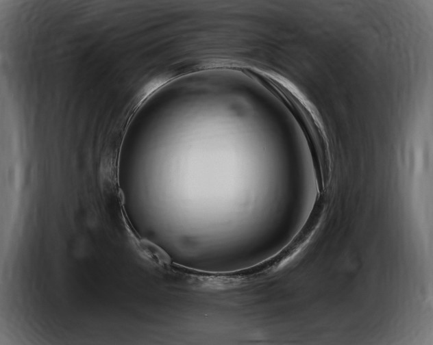 X0000086730905200704131104