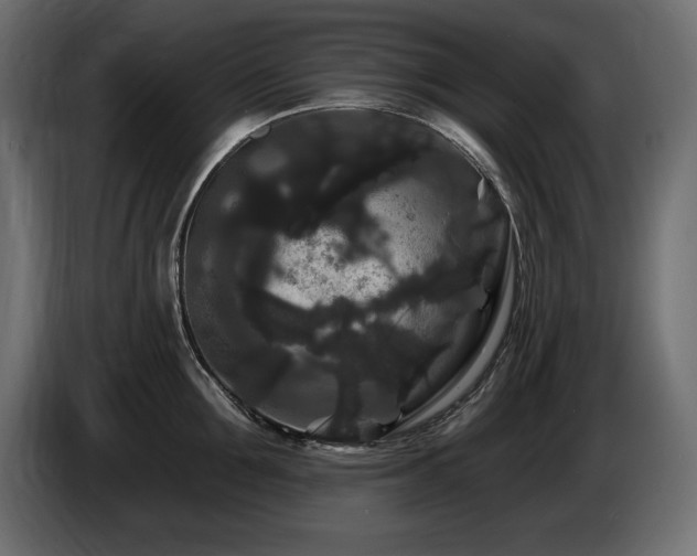 X0000086730907200704131104