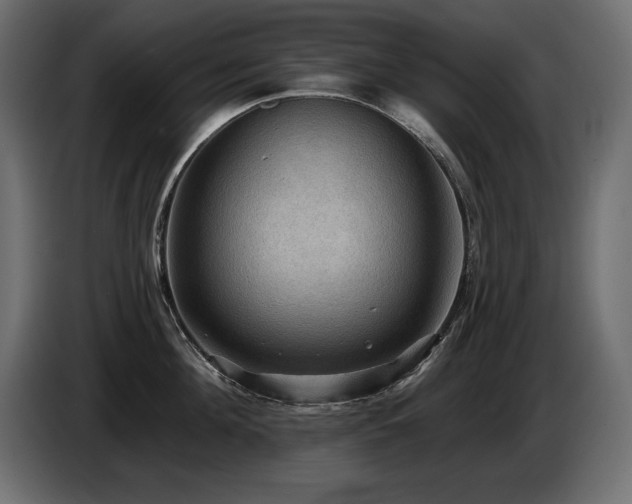 X0000086730908200704131104
