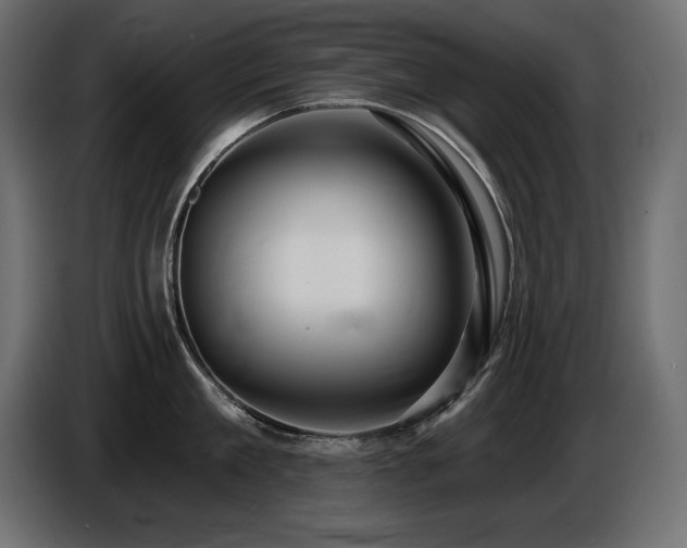 X0000086730909200704131104