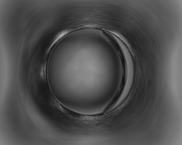 X0000086730910200704131104