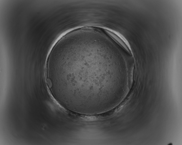 X0000086730911200704131104