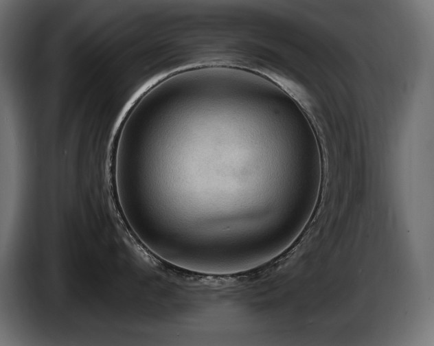 X0000086730912200704131104