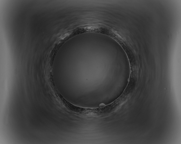X0000086730913200704131103
