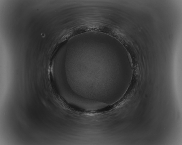 X0000086730916200704131103