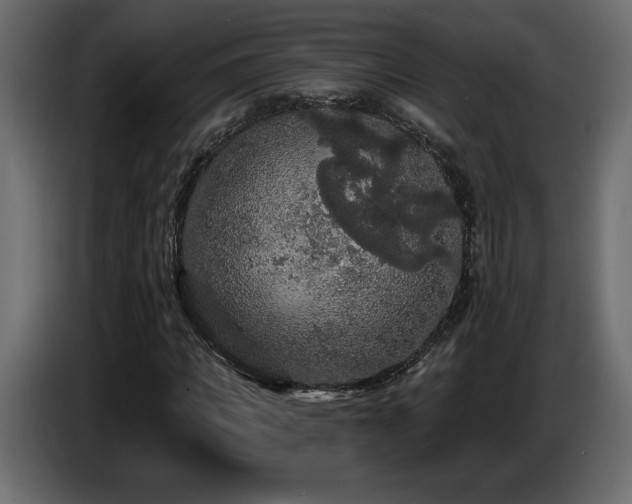 X0000086730917200704131103