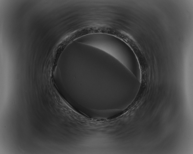 X0000086730919200704131103