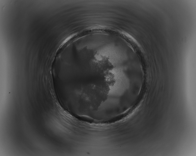 X0000086730921200704131103