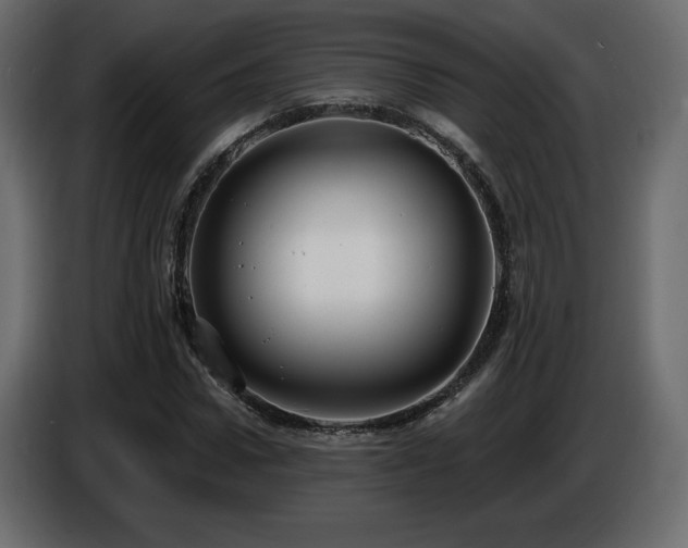 X0000086730922200704131103