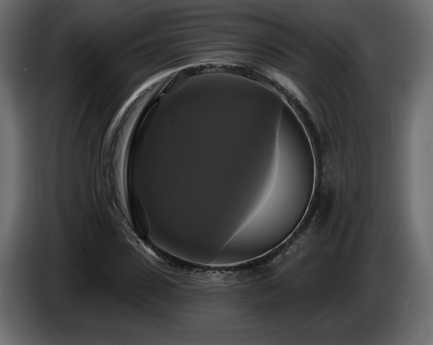 X0000086730923200704131103