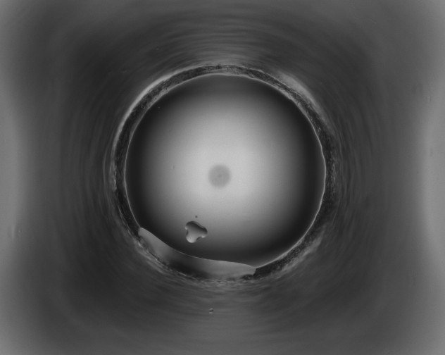 X0000086730924200704131103