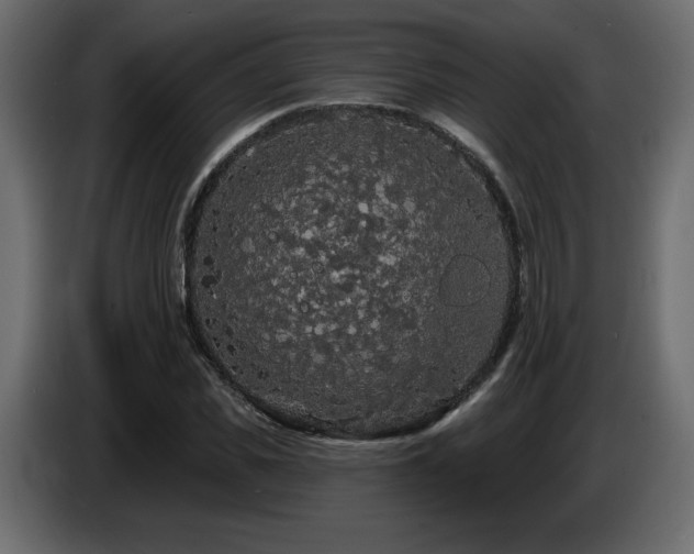 X0000086730925200704131103