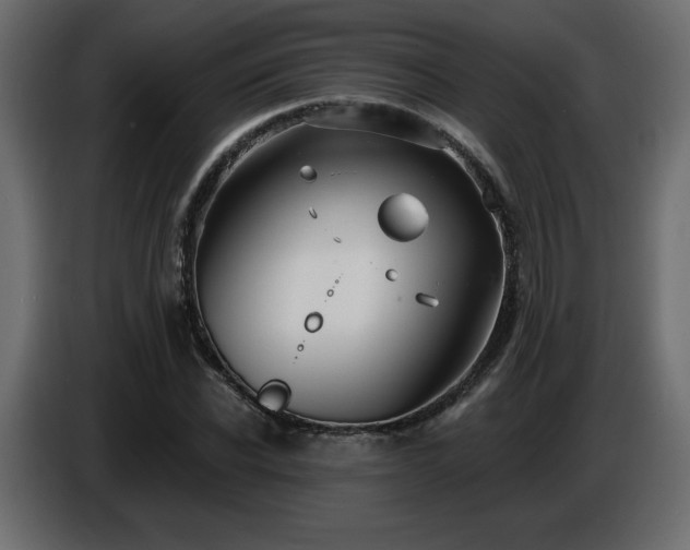 X0000086730926200704131103