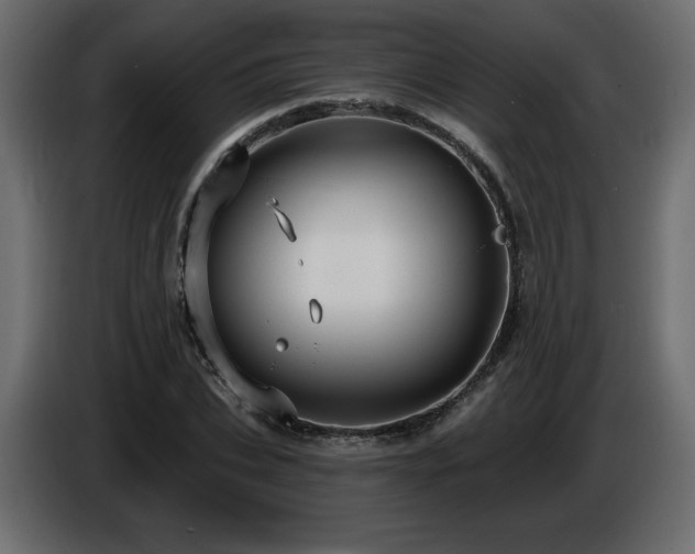 X0000086730927200704131103