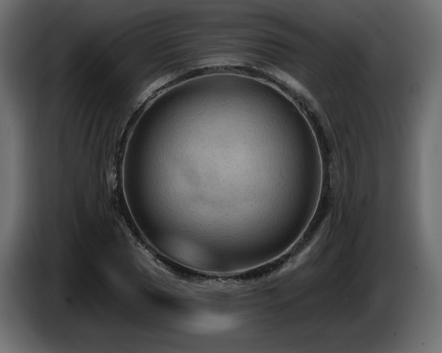 X0000086730929200704131103