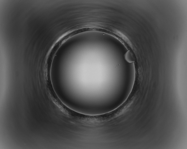 X0000086730931200704131103