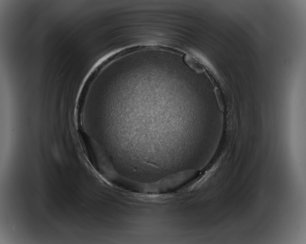X0000086730932200704131103