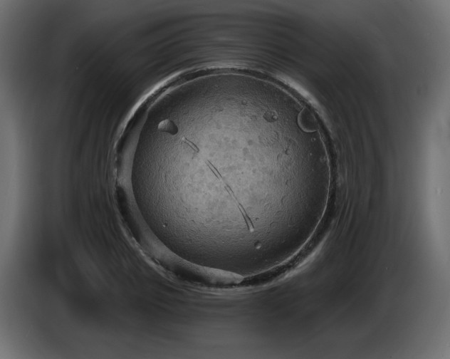 X0000086730933200704131103