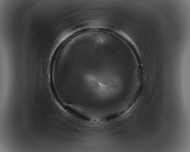 X0000086730935200704131103