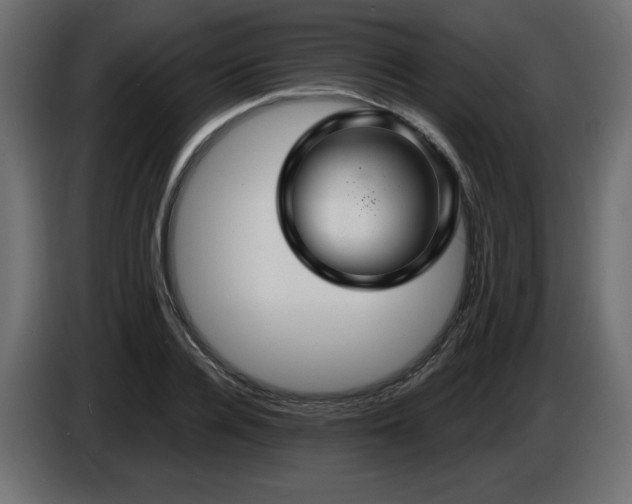 X0000086730936200704131103