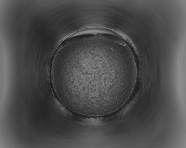 X0000086730937200704131103