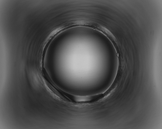 X0000086730938200704131103