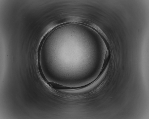 X0000086730939200704131103