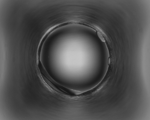 X0000086730940200704131103