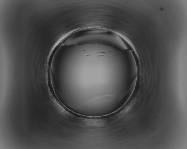 X0000086730941200704131103